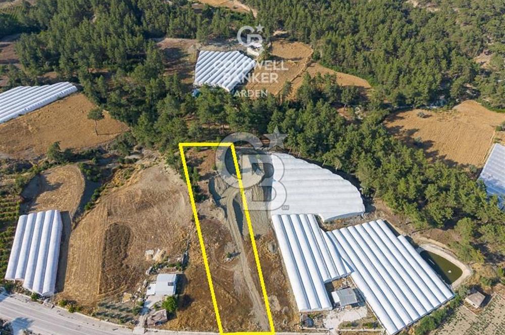 CB ARDEN'DEN KAŞ ANA YOL ÜSTÜ SATILIK TARLA