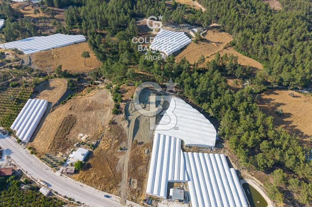 CB ARDEN'DEN KAŞ ANA YOL ÜSTÜ SATILIK TARLA