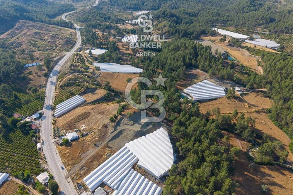 CB ARDEN'DEN KAŞ ANA YOL ÜSTÜ SATILIK TARLA