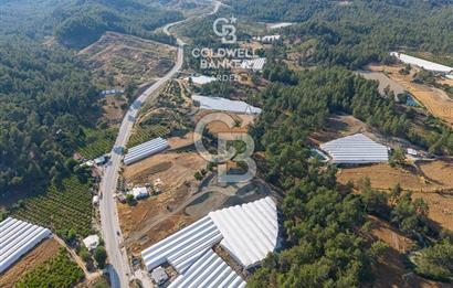 CB ARDEN'DEN ANTALYA KAŞ ANA YOL ÜSTÜ SATILIK TARLA