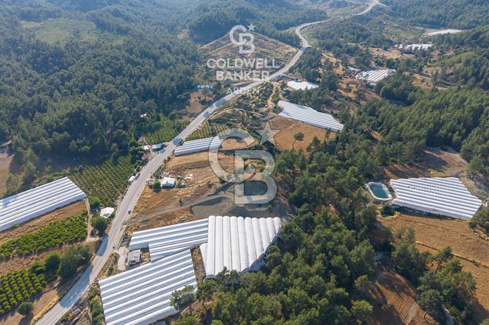 CB ARDEN'DEN KAŞ ANA YOL ÜSTÜ SATILIK TARLA