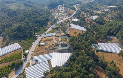 CB ARDEN'DEN KAŞ ANA YOL ÜSTÜ SATILIK TARLA