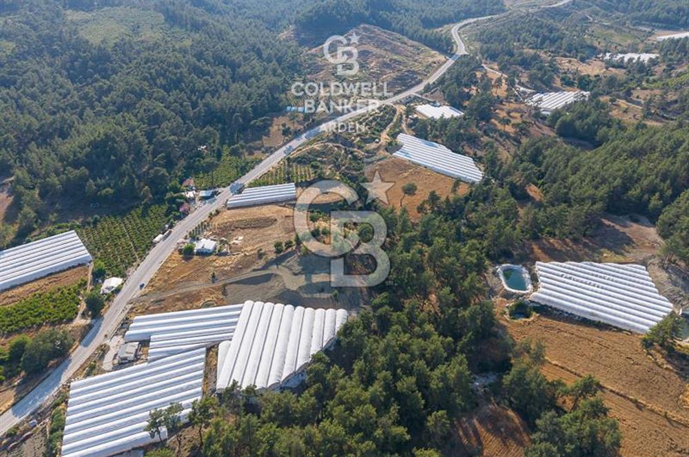CB ARDEN'DEN ANTALYA KAŞ ANA YOL ÜSTÜ SATILIK TARLA