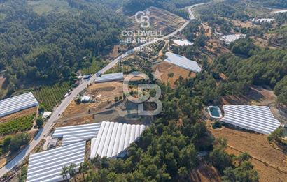 CB ARDEN'DEN ANTALYA KAŞ ANA YOL ÜSTÜ SATILIK TARLA