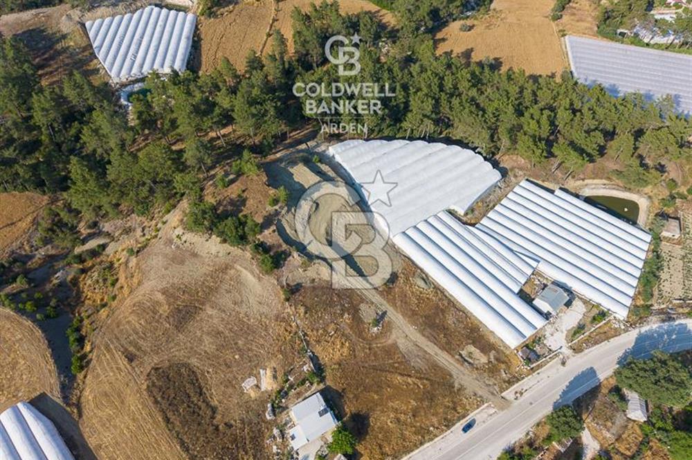 CB ARDEN'DEN KAŞ ANA YOL ÜSTÜ SATILIK TARLA