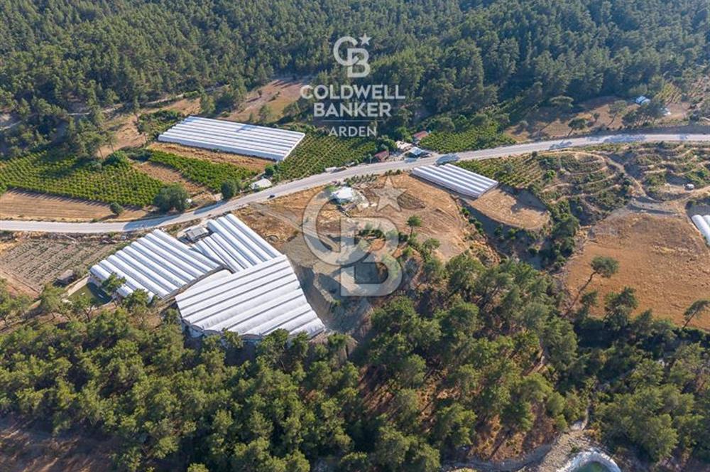CB ARDEN'DEN KAŞ ANA YOL ÜSTÜ SATILIK TARLA