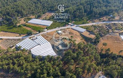 CB ARDEN'DEN KAŞ ANA YOL ÜSTÜ SATILIK TARLA
