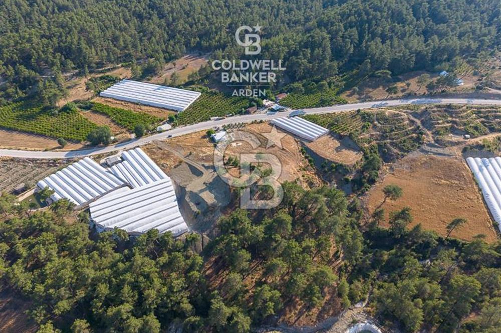 CB ARDEN'DEN ANTALYA KAŞ ANA YOL ÜSTÜ SATILIK TARLA