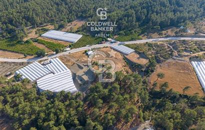CB ARDEN'DEN ANTALYA KAŞ ANA YOL ÜSTÜ SATILIK TARLA