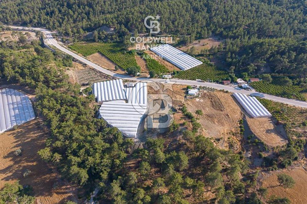 CB ARDEN'DEN KAŞ ANA YOL ÜSTÜ SATILIK TARLA