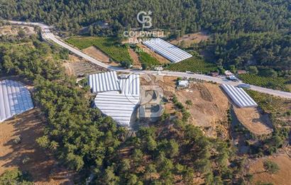 CB ARDEN'DEN KAŞ ANA YOL ÜSTÜ SATILIK TARLA