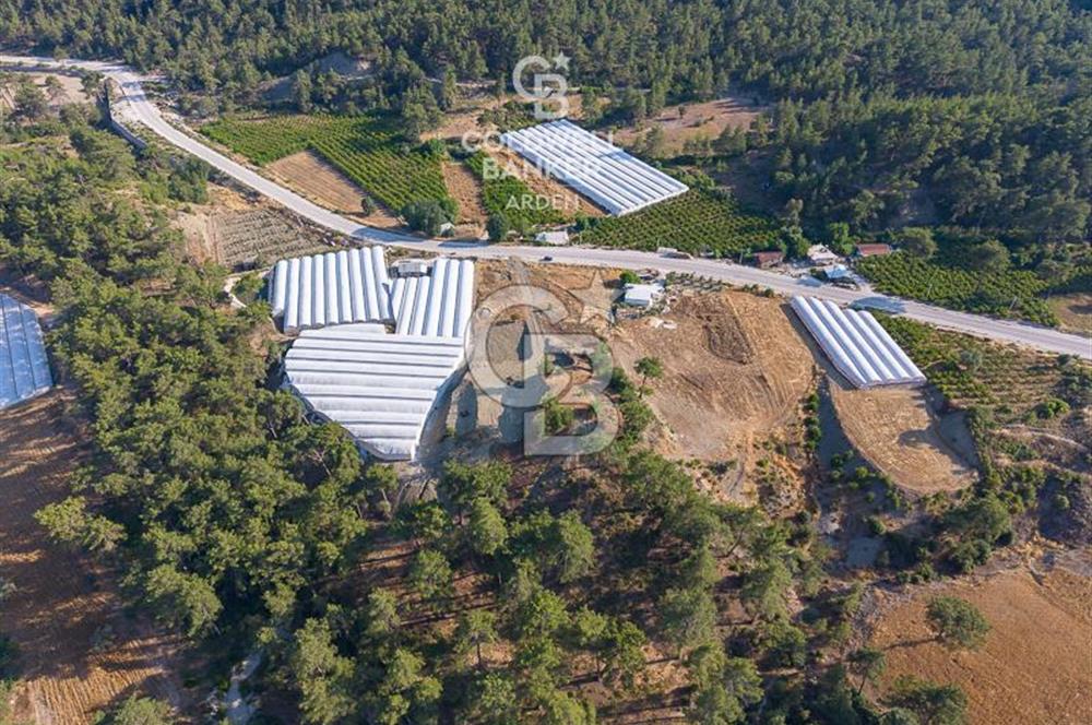 CB ARDEN'DEN ANTALYA KAŞ ANA YOL ÜSTÜ SATILIK TARLA