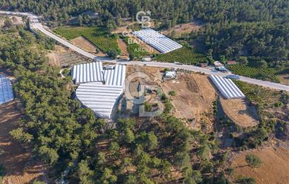 CB ARDEN'DEN ANTALYA KAŞ ANA YOL ÜSTÜ SATILIK TARLA
