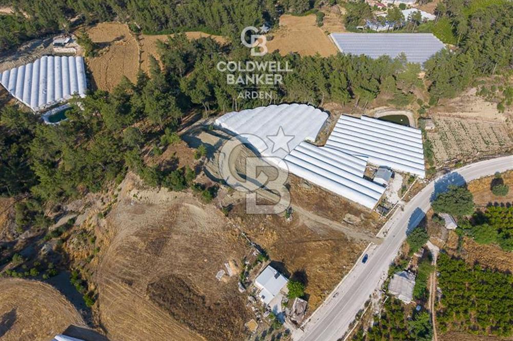 CB ARDEN'DEN ANTALYA KAŞ ANA YOL ÜSTÜ SATILIK TARLA