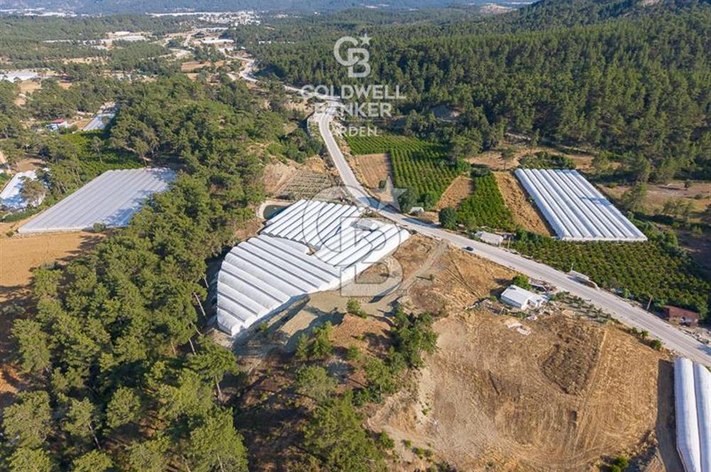 CB ARDEN'DEN KAŞ ANA YOL ÜSTÜ SATILIK TARLA