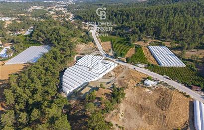CB ARDEN'DEN KAŞ ANA YOL ÜSTÜ SATILIK TARLA