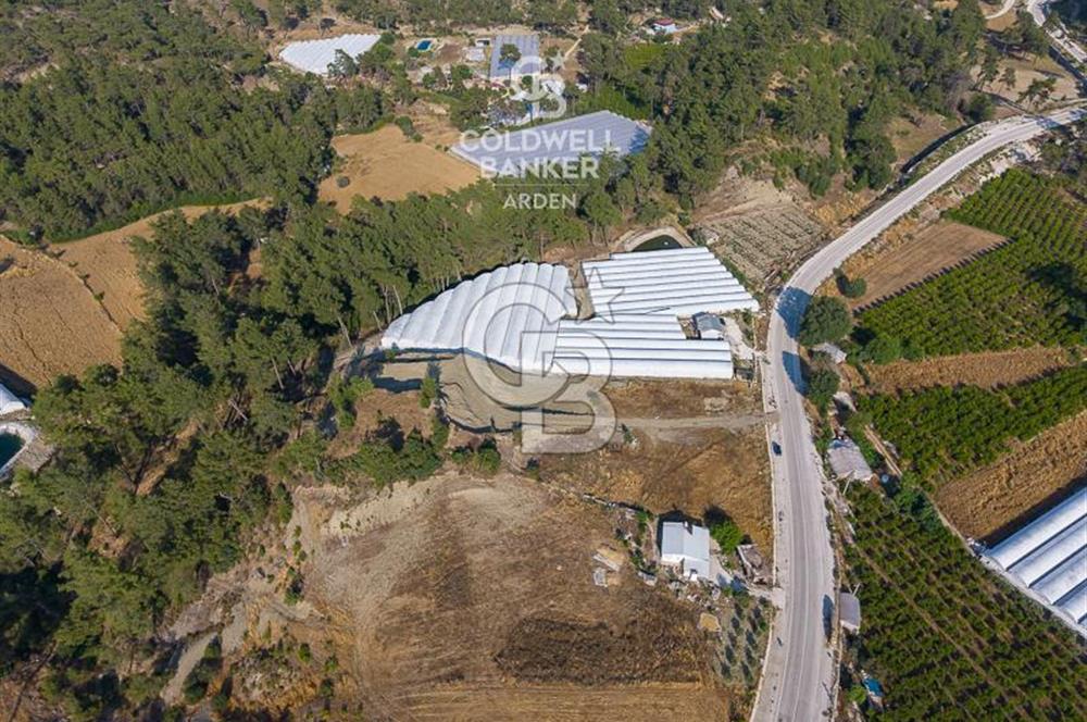 CB ARDEN'DEN ANTALYA KAŞ ANA YOL ÜSTÜ SATILIK TARLA