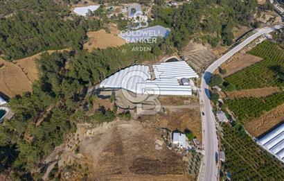 CB ARDEN'DEN ANTALYA KAŞ ANA YOL ÜSTÜ SATILIK TARLA