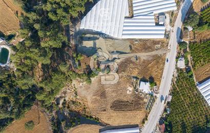 CB ARDEN'DEN KAŞ ANA YOL ÜSTÜ SATILIK TARLA