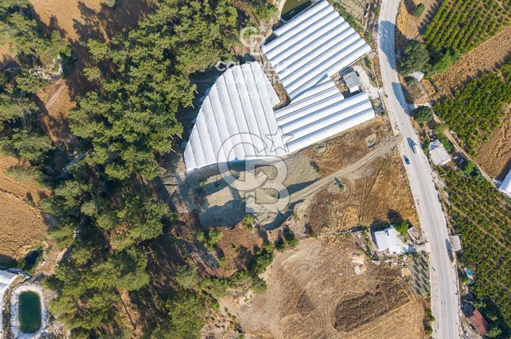 CB ARDEN'DEN ANTALYA KAŞ ANA YOL ÜSTÜ SATILIK TARLA