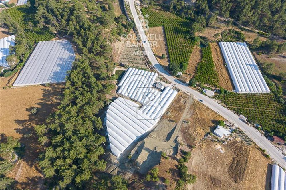 CB ARDEN'DEN ANTALYA KAŞ ANA YOL ÜSTÜ SATILIK TARLA
