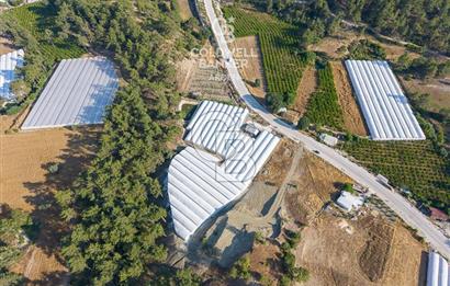 CB ARDEN'DEN ANTALYA KAŞ ANA YOL ÜSTÜ SATILIK TARLA