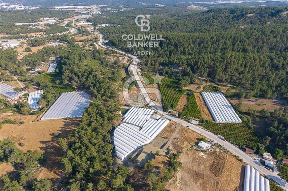 CB ARDEN'DEN KAŞ ANA YOL ÜSTÜ SATILIK TARLA