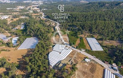 CB ARDEN'DEN KAŞ ANA YOL ÜSTÜ SATILIK TARLA