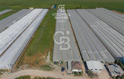CB ARDEN'DEN KINIK OVA DA SATILIK MÜSTAKİL PARSEL SERA VE EVİ