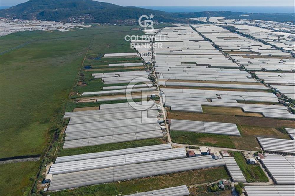 CB ARDEN'DEN KINIK OVA DA SATILIK MÜSTAKİL PARSEL SERA VE EVİ