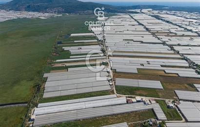CB ARDEN'DEN KINIK OVA DA SATILIK MÜSTAKİL PARSEL SERA VE EVİ