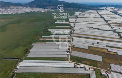 CB ARDEN'DEN KINIK OVA DA SATILIK MÜSTAKİL PARSEL SERA VE EVİ