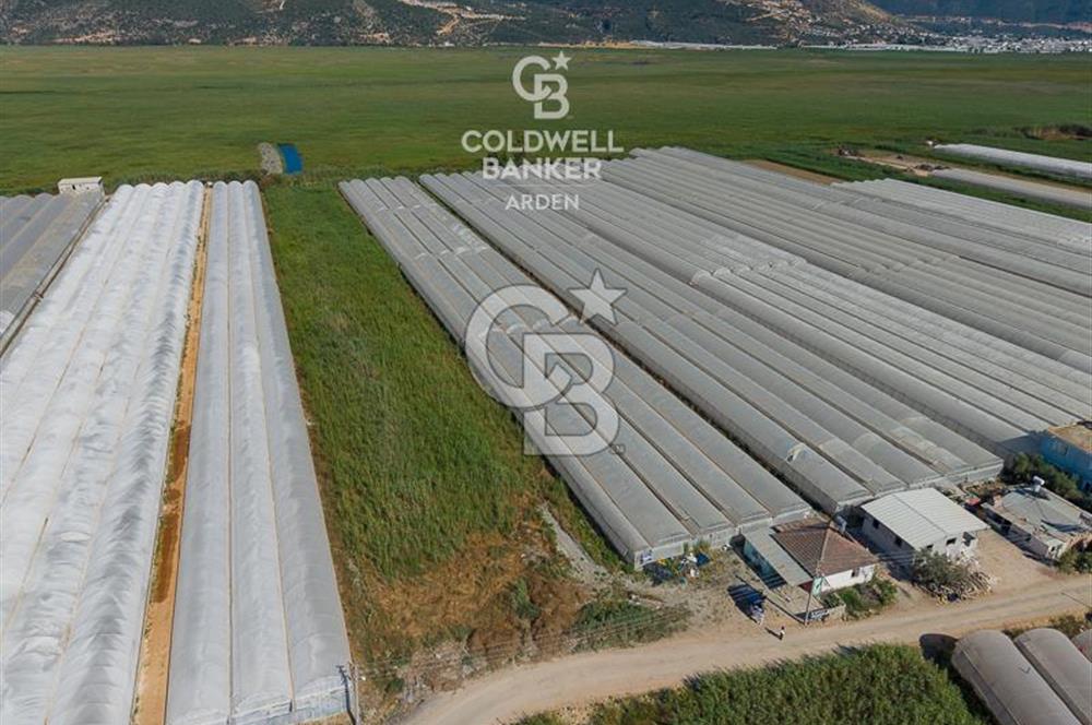 CB ARDEN'DEN KINIK OVA DA SATILIK MÜSTAKİL PARSEL SERA VE EVİ