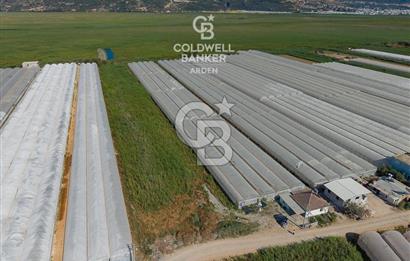 CB ARDEN'DEN KINIK OVA DA SATILIK MÜSTAKİL PARSEL SERA VE EVİ