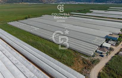 CB ARDEN'DEN KINIK OVA DA SATILIK MÜSTAKİL PARSEL SERA VE EVİ