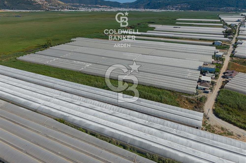 CB ARDEN'DEN KINIK OVA DA SATILIK MÜSTAKİL PARSEL SERA VE EVİ