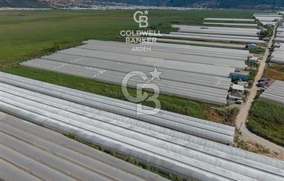 CB ARDEN'DEN KINIK OVA DA SATILIK MÜSTAKİL PARSEL SERA VE EVİ