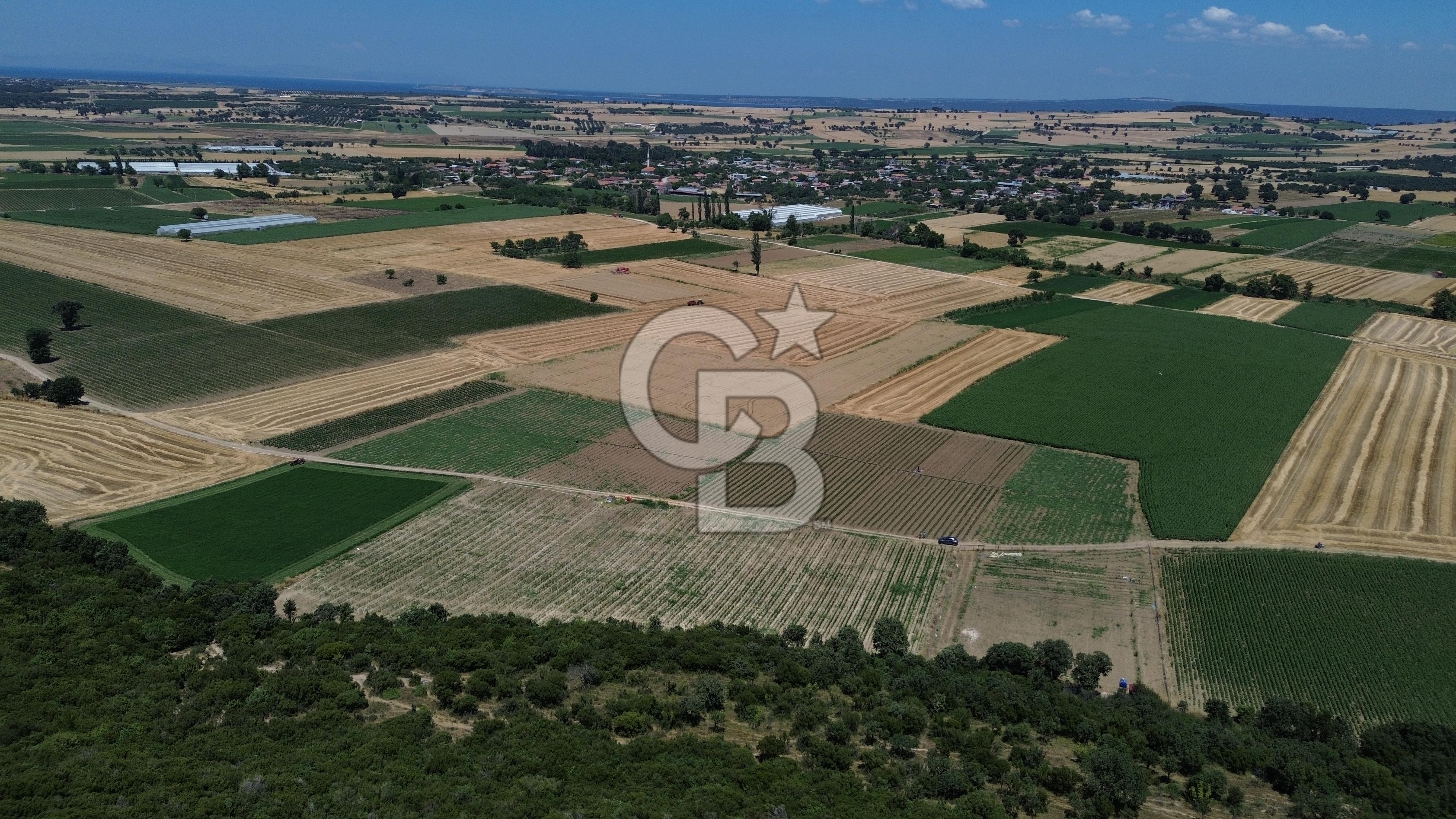 ÇANAKKALE MERKEZ HALİLELİ KÖYÜNDE SATILIK TARLA