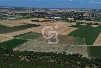 ÇANAKKALE MERKEZ HALİLELİ KÖYÜNDE SATILIK TARLA - 6 - 355613