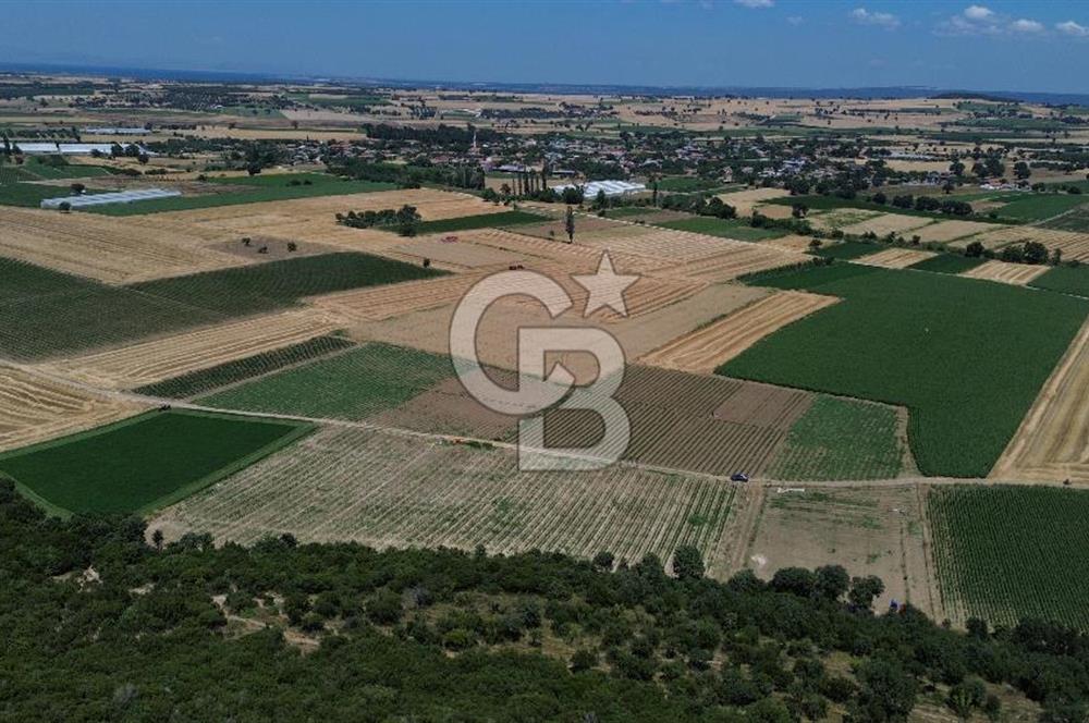 ÇANAKKALE MERKEZ HALİLELİ KÖYÜNDE SATILIK TARLA