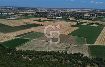 ÇANAKKALE MERKEZ HALİLELİ KÖYÜNDE SATILIK TARLA