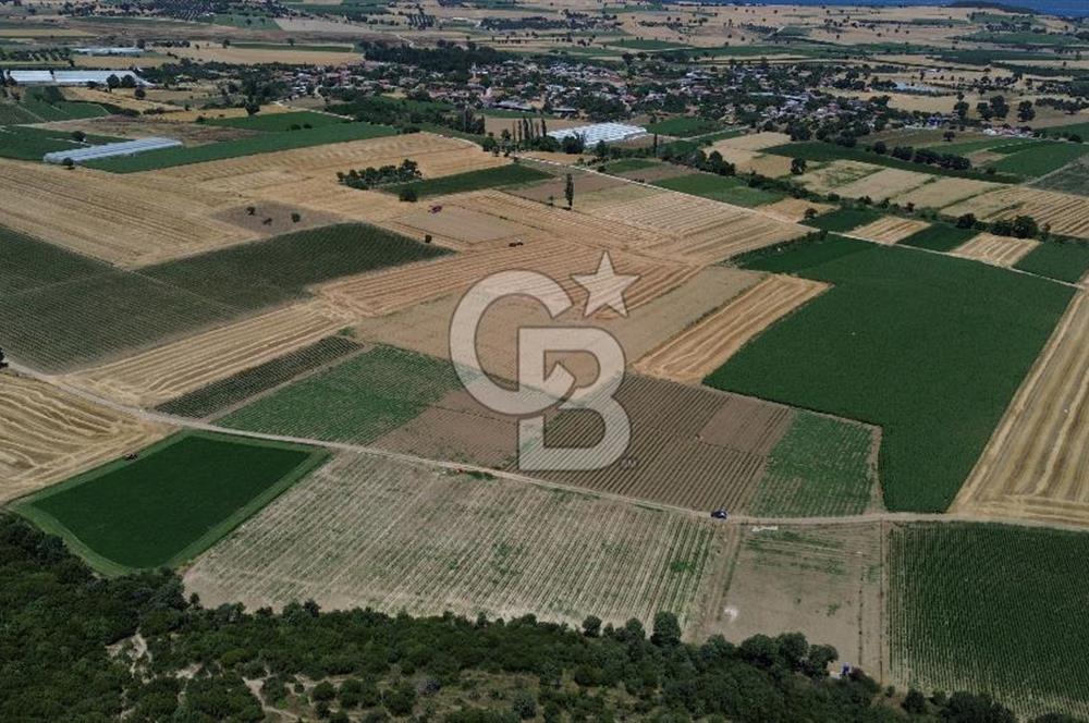 ÇANAKKALE MERKEZ HALİLELİ KÖYÜNDE SATILIK TARLA