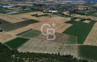 ÇANAKKALE MERKEZ HALİLELİ KÖYÜNDE SATILIK TARLA