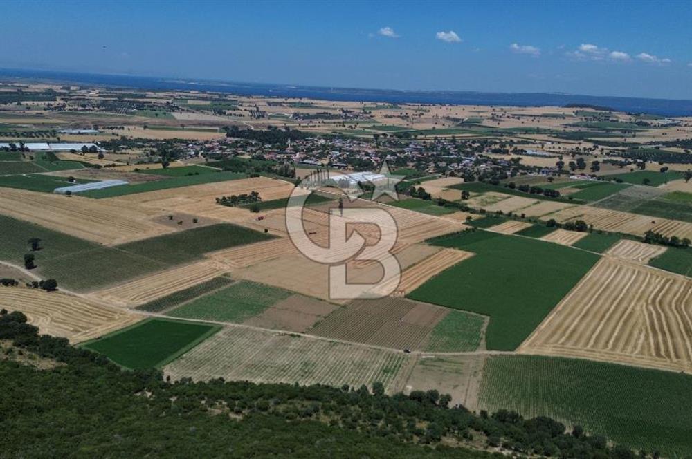 ÇANAKKALE MERKEZ HALİLELİ KÖYÜNDE SATILIK TARLA