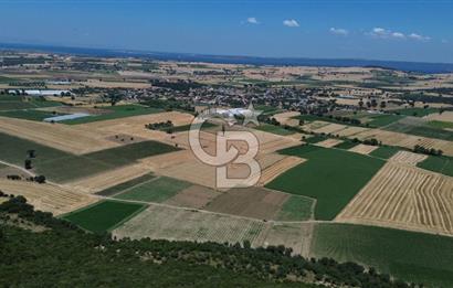 ÇANAKKALE MERKEZ HALİLELİ KÖYÜNDE SATILIK TARLA