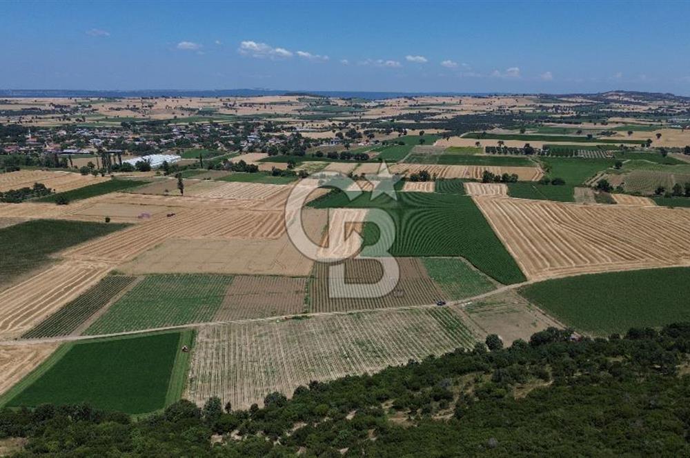 ÇANAKKALE MERKEZ HALİLELİ KÖYÜNDE SATILIK TARLA