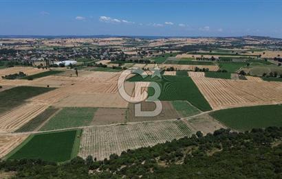 ÇANAKKALE MERKEZ HALİLELİ KÖYÜNDE SATILIK TARLA