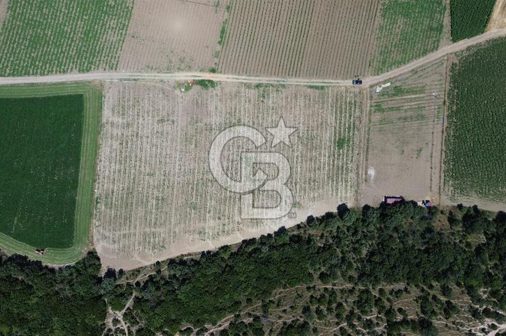 ÇANAKKALE MERKEZ HALİLELİ KÖYÜNDE SATILIK TARLA