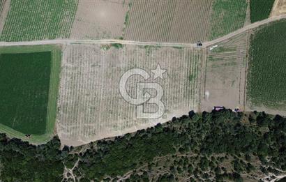 ÇANAKKALE MERKEZ HALİLELİ KÖYÜNDE SATILIK TARLA