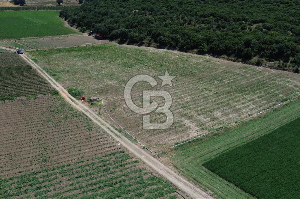 ÇANAKKALE MERKEZ HALİLELİ KÖYÜNDE SATILIK TARLA